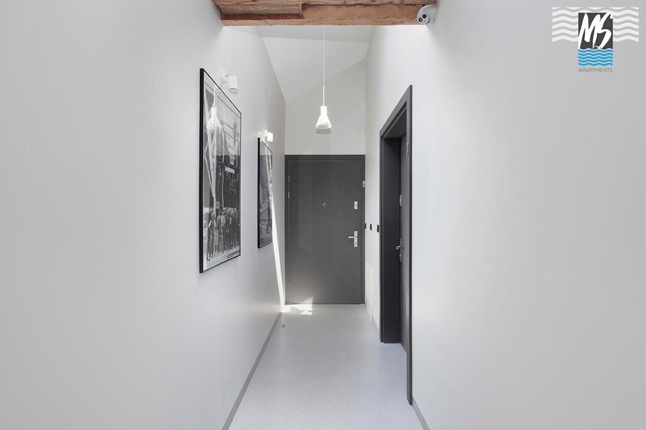 Ms Center Vii